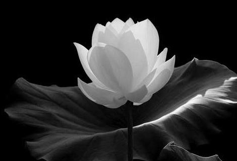 房间号码查吉凶查询