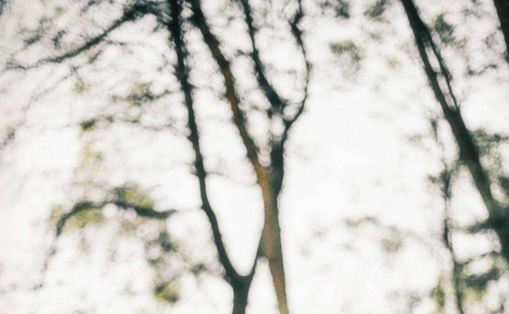 胡氏字辈查询 胡姓字辈如何查询