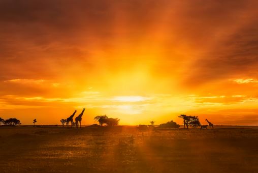 测缘分属龙男和属马女八字合不合 算配对指数