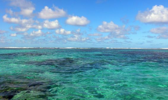 梁姓的来源简介