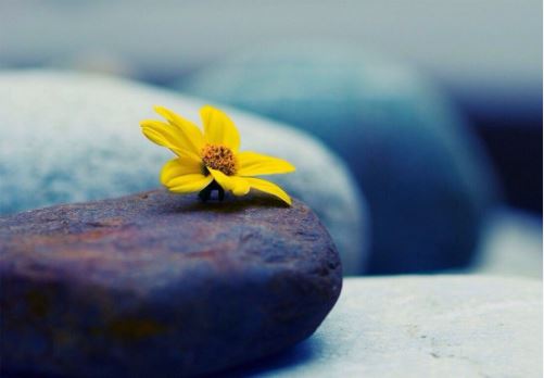 厨房招财风水 厨房招财风水有哪些要点