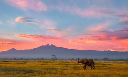 2025年小年在几月几日？小年的日子好不好？