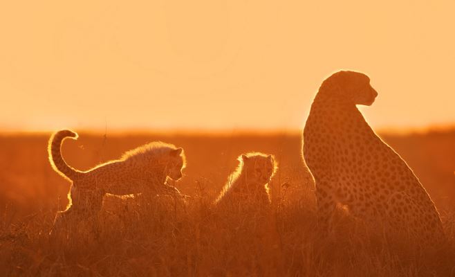 和衷共济：易经中的第八卦“比卦”水地比与道家思想的人生感悟