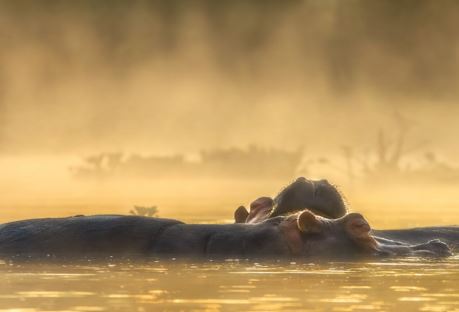 宝宝姓胡起名字