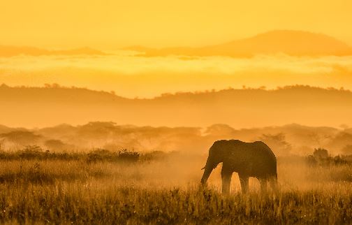 家里的玄关处挂什么能改善运势