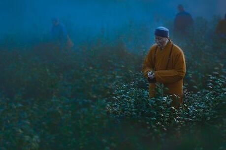 人类指纹的斗与簸箕暗藏什么玄机？未来已被注定，是基因的诅咒？