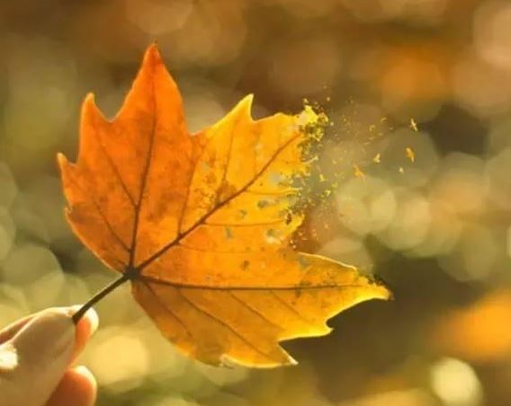 算命说天后什么意思  大六壬天后代表啥