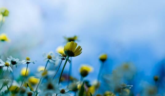 商标名称推荐 怎样推荐商标名称