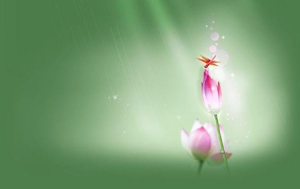 12星座绝不能配的星座