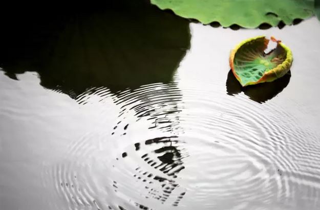 八字十二地支子水 子水地支是否对应八字的哪个部分