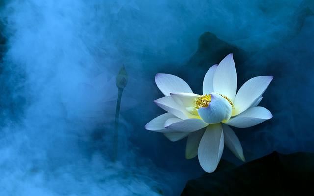 国学经典人品思维