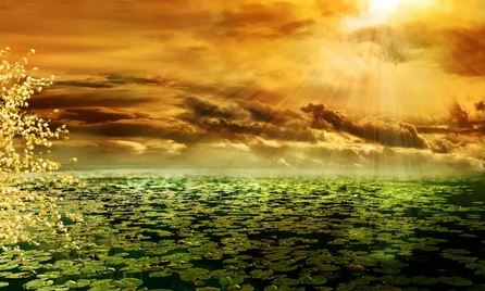 起名找明德大师