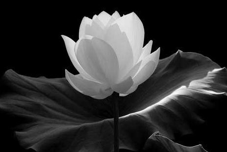 农村窗户风水 农村窗户风水大忌