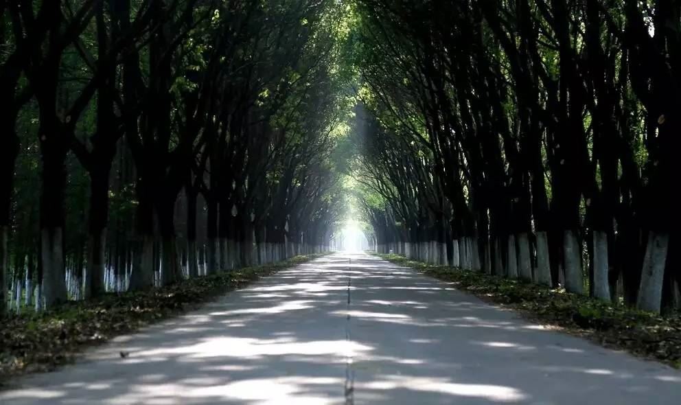 男金女木婚姻怎样化解 家中可摆放百福临门