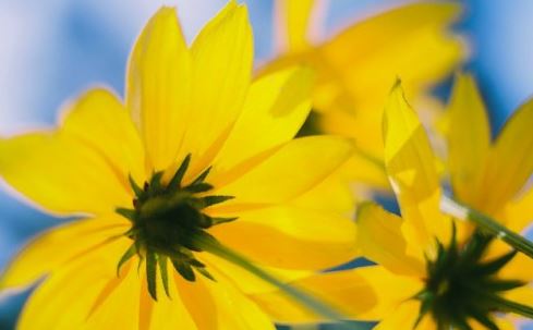 姓文男孩女孩名字大全