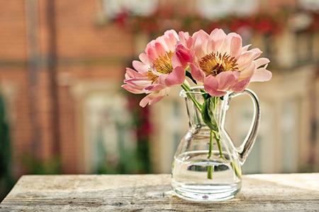 属猪缺火怎么取名字