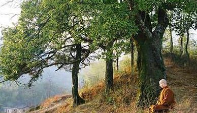 五行取名查询打分测试,五行八字五格命理取名测试