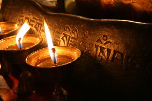 属猴人生运势2024完整解读