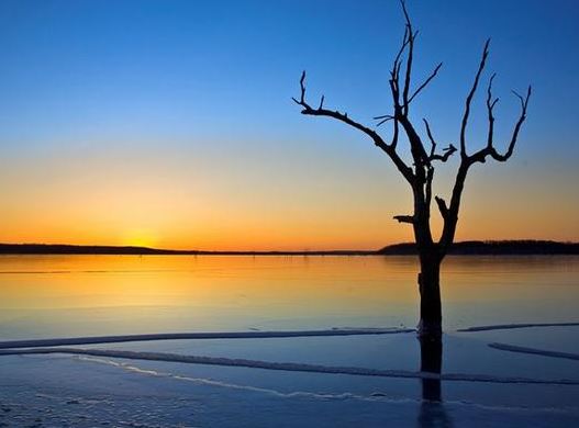 紫微斗数巨门坐命的人命运如何,巨门星独坐命宫详解