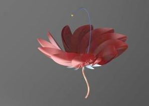 身材决定一个人的气质