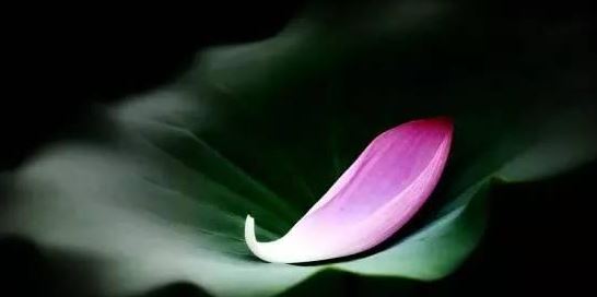 车牌号里有0好不好 车牌尾号0好不好含义是什么