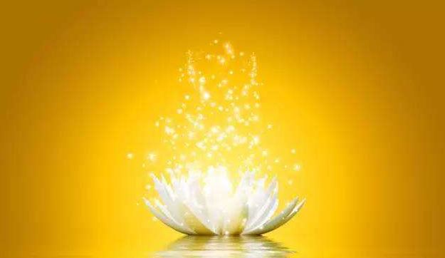 两个斗女的命运怎么样