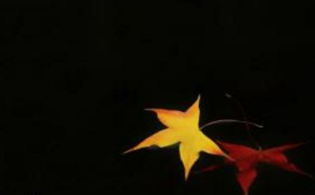 家居风水五行 家居风水五行布局