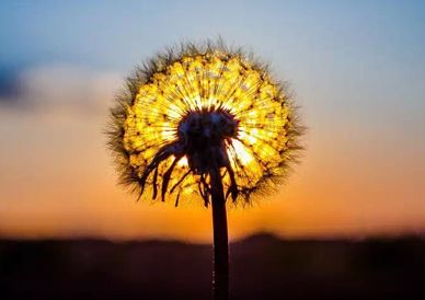 墓地怎么选位置才好