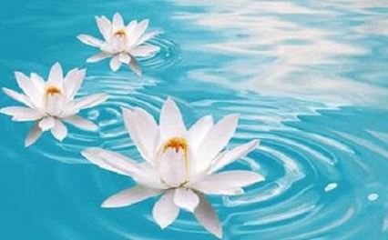 狗年起名大全男孩