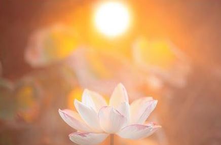 左脚受伤代表什么预兆  左脚老是受伤是吉是凶