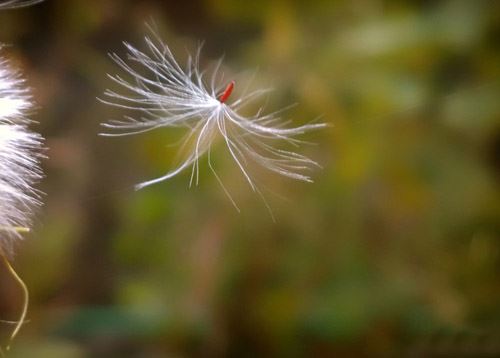 有樱桃小嘴的女人，性格和命运到底如何