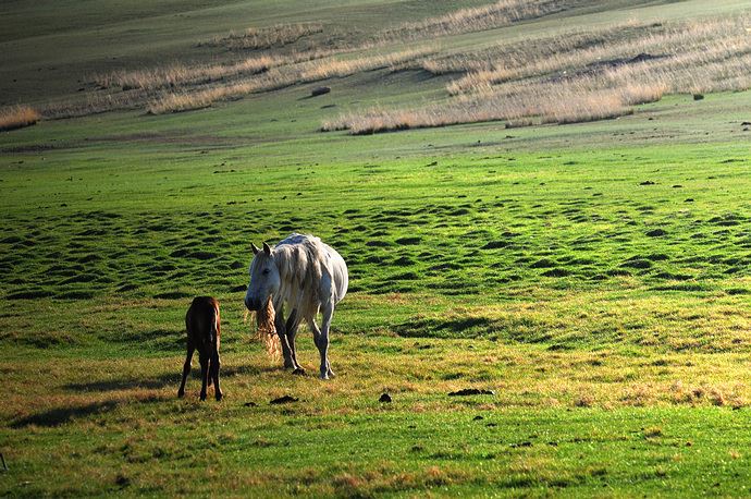 确认要跌！杭州大反转，这波真的猛！又有2个新台风要生成……
