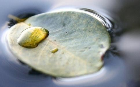 根据出生日期预测吉凶查询