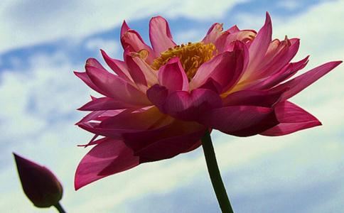 化忌象在十二宫职如何做象的解释