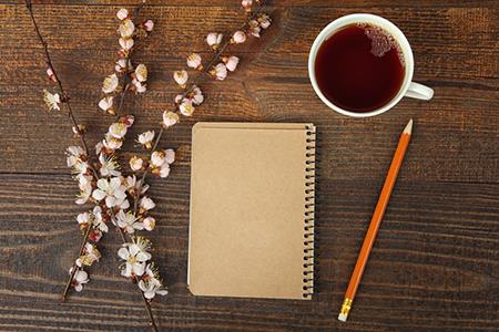 《麻衣相术》台湾版解读，财帛宫2 #面相#识人术#国学文化