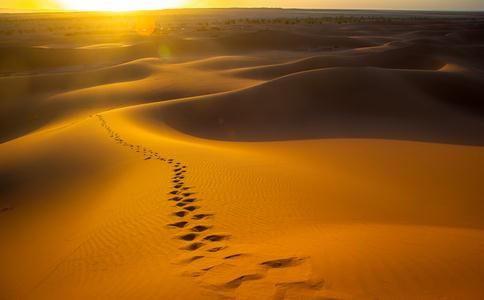 易玄本周生肖兔运势