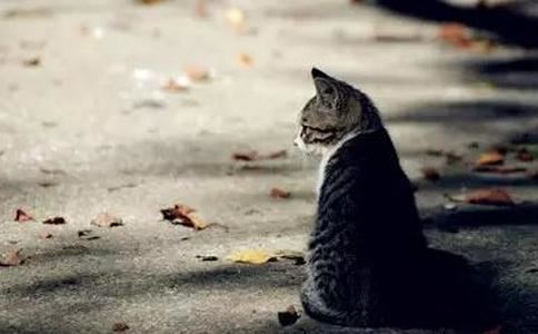 地毯风水讲究 地毯风水有何讲究