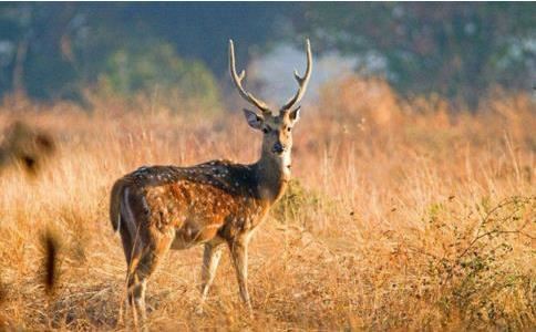 2024年农历腊月十五是结婚领证的吉日吗 今日吉时查询