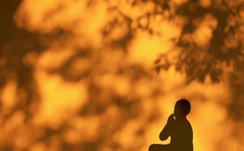 属狗的幸福婚配