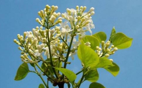 山雷颐卦详解感情 山雷颐卦的象征意义