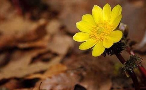 珠宝火坑安排定，富贵贫贱验如神是什么意思