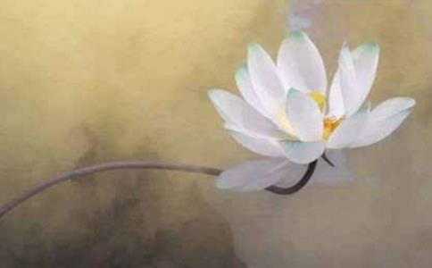 房子风水大忌 房子风水大忌有哪些