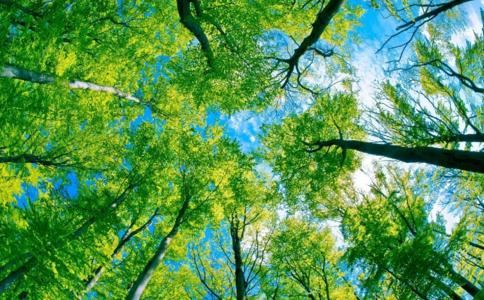 家居风水禁忌注意的细节 家居风水