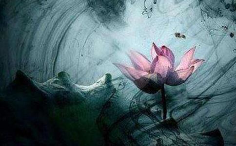 辛酉年的石榴木命有什么，辛酉年石榴木命详解