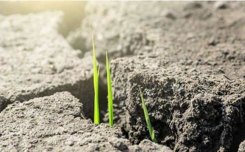 家居风水知识大全，家居风水知识大全布局