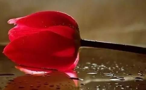 一九七二年的鼠今年运势 宝刀未老气运旺盛