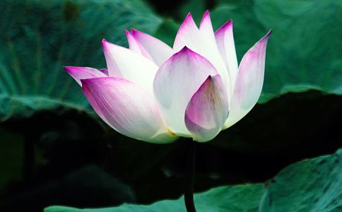 龙宝宝起名：优秀好听的男孩名字精选