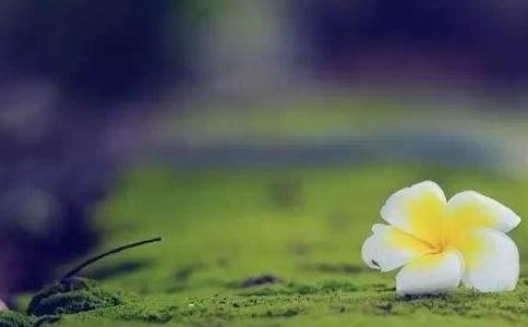 属龙宝宝如何取名?