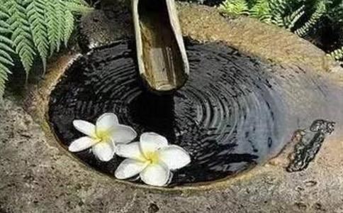 飞凤命格是什么意思  八字都有什么命格