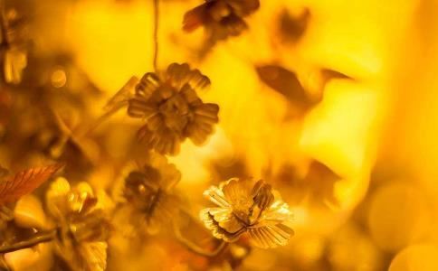 00龙女和97牛男配婚姻好不好 他们是否般配